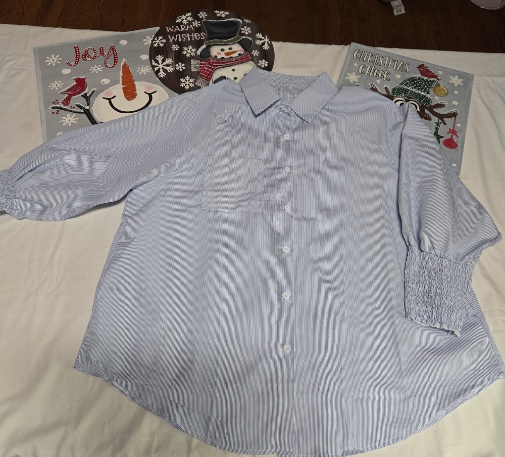 Source Unknown Light Blue Striped Blouse